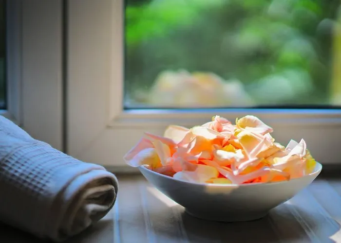 Japanroom Jacuzzi&Sauna Haut De Gamme Parking Free